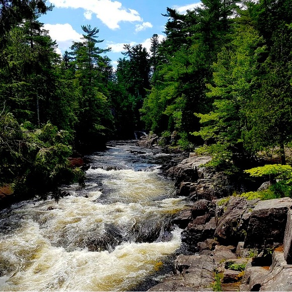 Meet your Posher, Jaiden - Picture 1 of 1